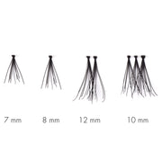 SWEED x Nikki_Makeup - Nikki Cluster (Lash Scan)